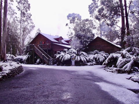 Lemonthyme Wilderness Retreat - Accommodation Sydney 12