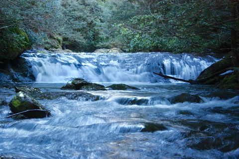 Lemonthyme Wilderness Retreat - Accommodation Sydney 10