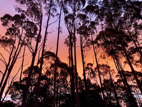 Lemonthyme Wilderness Retreat - Accommodation Sydney 8