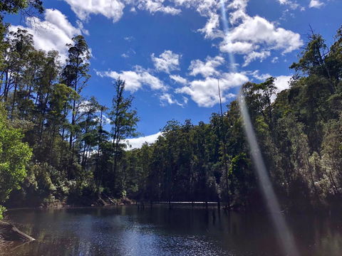 Lemonthyme Wilderness Retreat - Accommodation Sydney 7