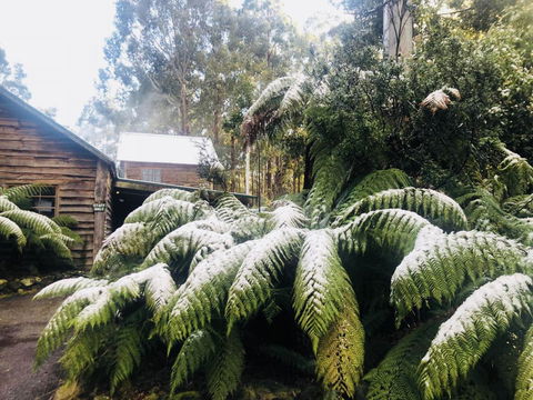 Lemonthyme Wilderness Retreat - Accommodation Sydney 5