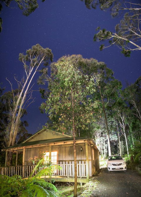 Lemonthyme Wilderness Retreat - Accommodation Sydney 3