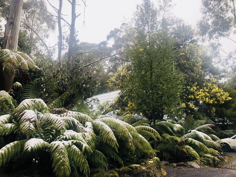 Lemonthyme Wilderness Retreat - Accommodation Sydney 16
