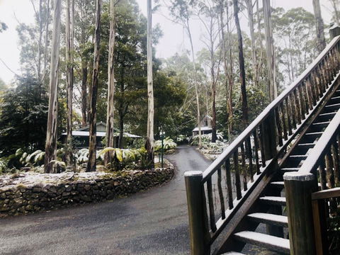 Lemonthyme Wilderness Retreat - Accommodation Sydney 15