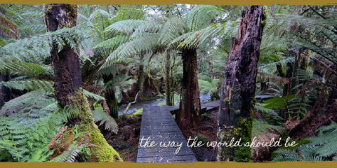Lemonthyme Wilderness Retreat - Accommodation Sydney 17