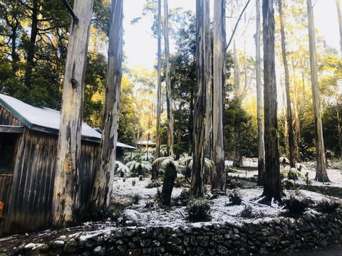 Lemonthyme Wilderness Retreat - Accommodation Sydney 6