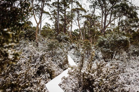 Cradle Mountain Hotel - Accommodation Sydney 6