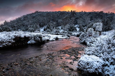Peppers Cradle Mountain Lodge - Sydney 4u 44