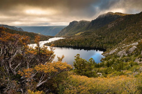 Peppers Cradle Mountain Lodge - Sydney 4u 38