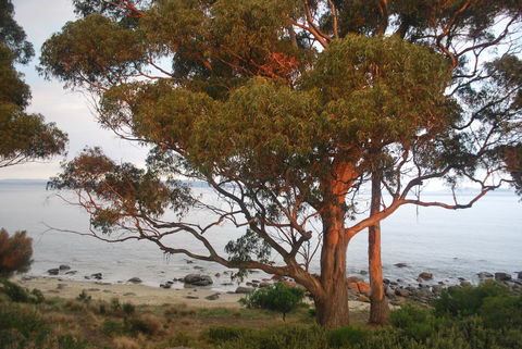 Beachside Taroona With Spa - Sydney 4u 18