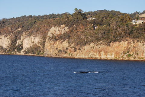 Beachside Taroona With Spa - Sydney 4u 29