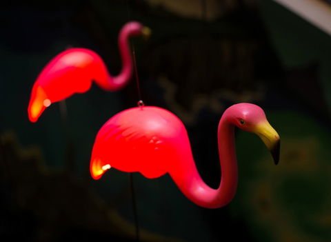 Alabama Hotel Hobart - Accommodation Sydney 42