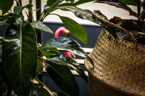 Alabama Hotel Hobart - Accommodation Sydney 25