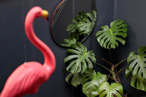 Alabama Hotel Hobart - Accommodation Sydney 15