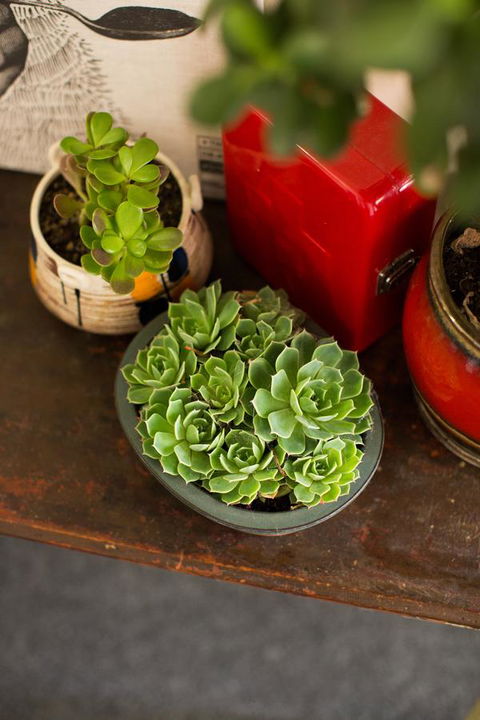 Alabama Hotel Hobart - Accommodation Sydney 39