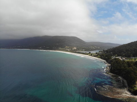 Osprey Lodge & Bungalow - Sydney 4u 19