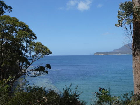 Osprey Lodge & Bungalow - Sydney 4u 3