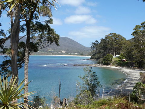 Osprey Lodge & Bungalow - Sydney 4u 4