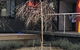 Maple Cottage - thumb 19
