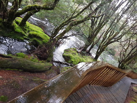 Cradle Alpine Retreat - Accommodation Sydney 13