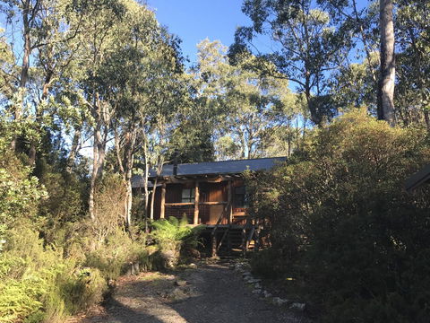 Cradle Highlander - Accommodation Sydney 14