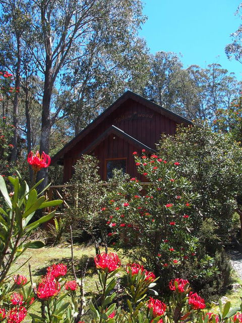 Cradle Highlander - Accommodation Sydney 0