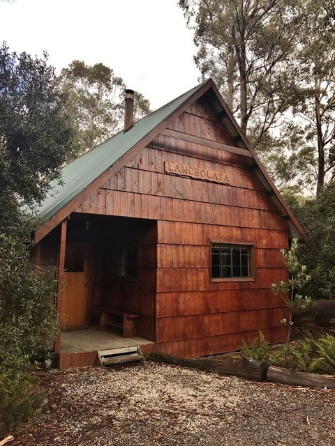 Cradle Highlander - Accommodation Sydney 3