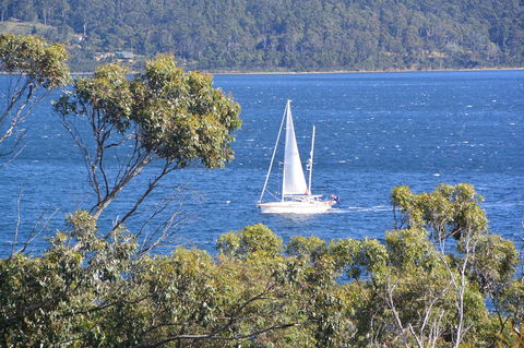 The Tree House - Sydney 4u 5