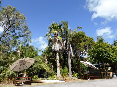 The Balnarring Motel - Sydney Resort 8