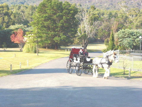 The Grampians Motel - Sydney 4u 24
