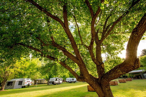 Discovery Parks - Bright - Sydney 4u 31
