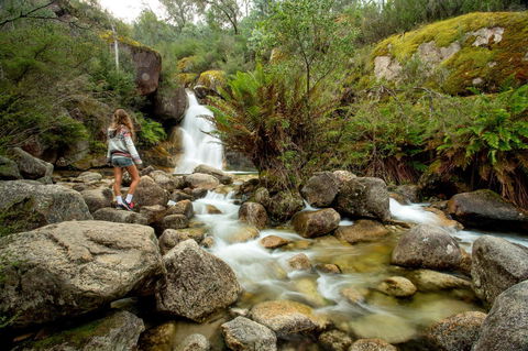Discovery Parks - Bright - Sydney 4u 21