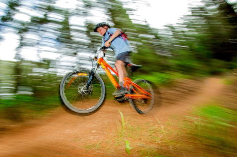 Discovery Parks - Bright - Sydney 4u 24