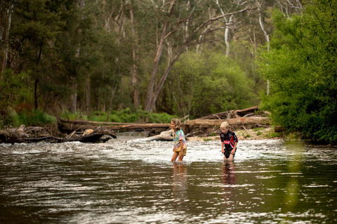 Discovery Parks - Bright - Sydney 4u 20