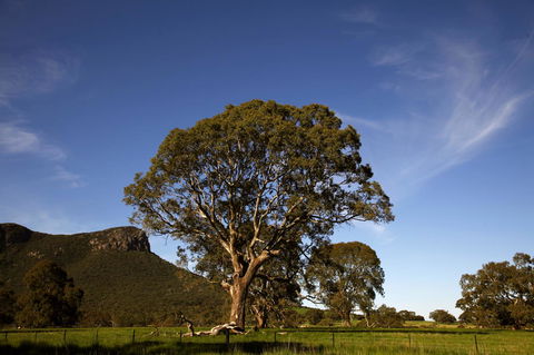 Dunkeld Studio Accommodation - Sydney 4u 23