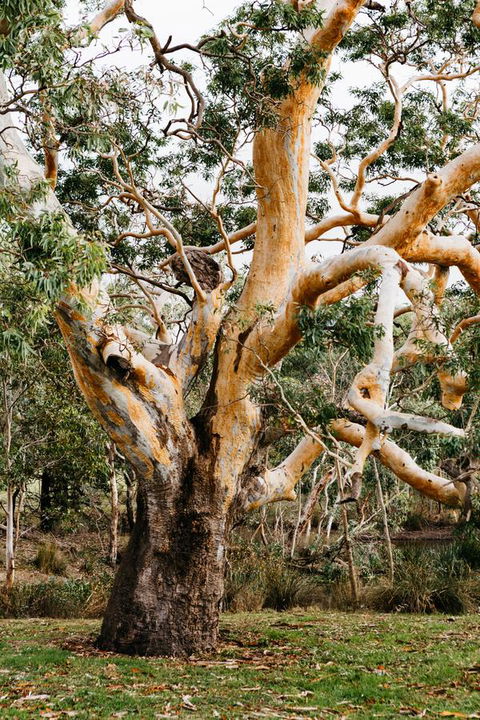 Dunkeld Studio Accommodation - Sydney 4u 22