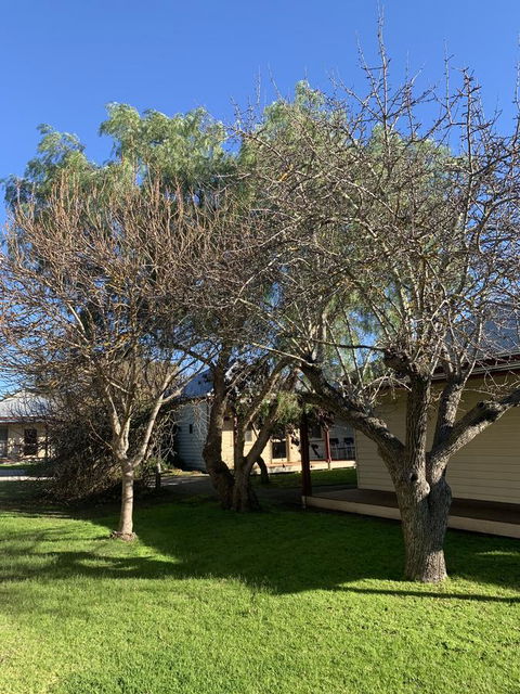Dunkeld Studio Accommodation - Sydney 4u 4