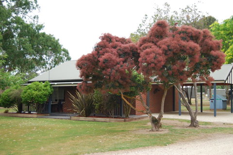 Greenvale Holiday Units - Accommodation Sydney 9