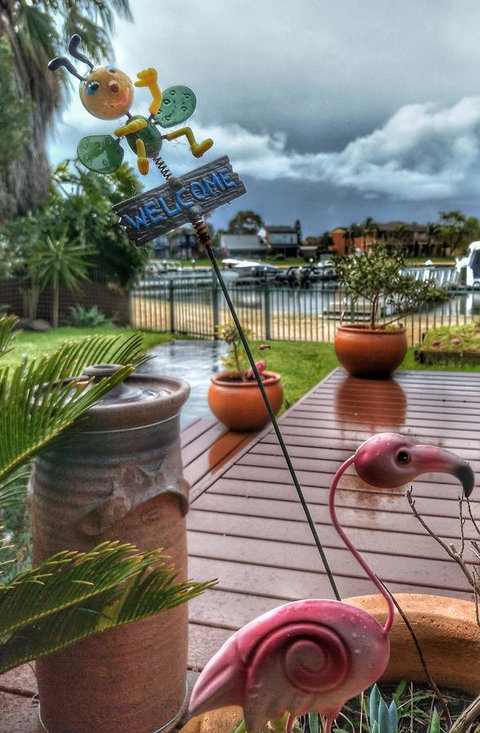 Waterfront Retreat - Sydney Resort 5