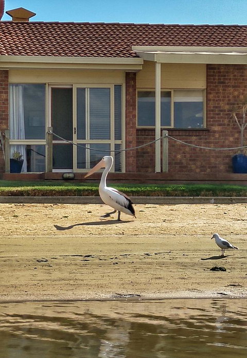 Waterfront Retreat - Sydney Resort 25