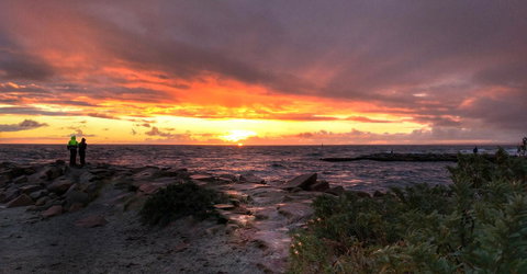 Waterfront Retreat - Sydney Resort 29