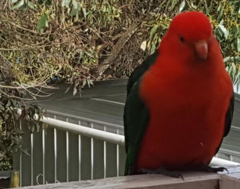 Wilsons Promontory Motel - Sydney 4u 23
