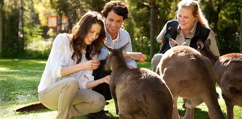 Balgownie Estate Yarra Valley - Sydney 4u 10
