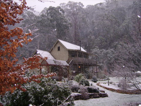 Shady Brook Cottages - Sydney 4u 24