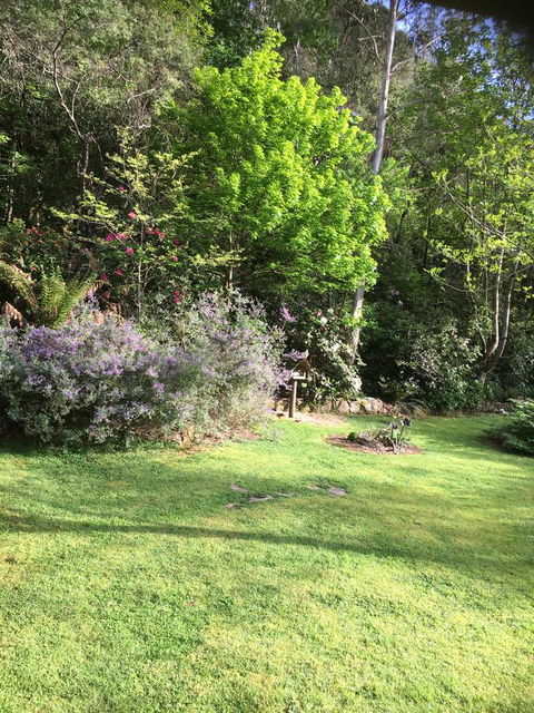 Shady Brook Cottages - Sydney 4u 6