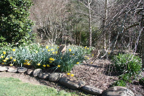 Shady Brook Cottages - Sydney 4u 8