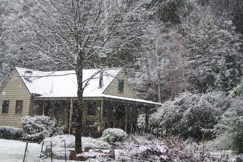 Shady Brook Cottages - Sydney 4u 30