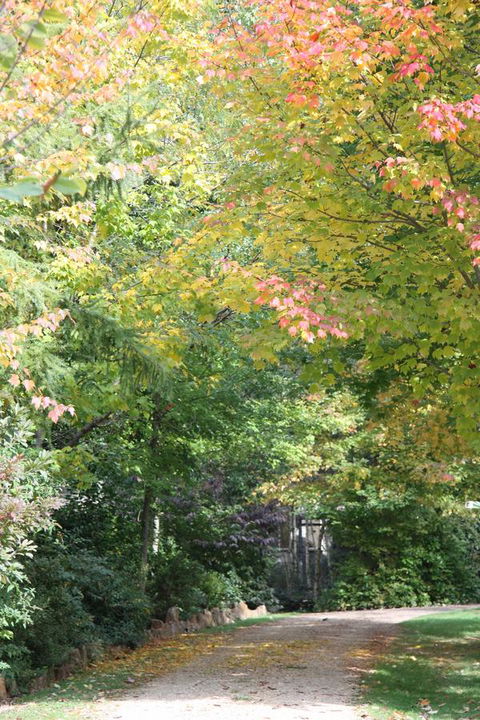 Shady Brook Cottages - Sydney 4u 14