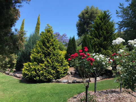 Valley View Lodge - Sydney 4u 20