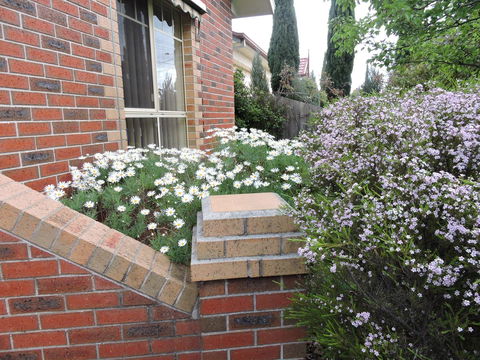 Monash And Chadstone WiFi - Sydney 4u 3